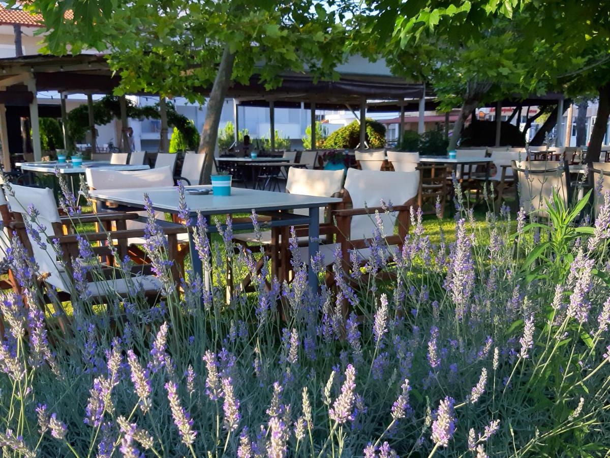 Kochyli Beach Studios Nea Plagia Ngoại thất bức ảnh